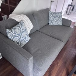 Crate & Barrel Deep Lounge Sofa Couch