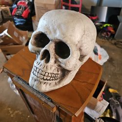 Styrofoam Skull