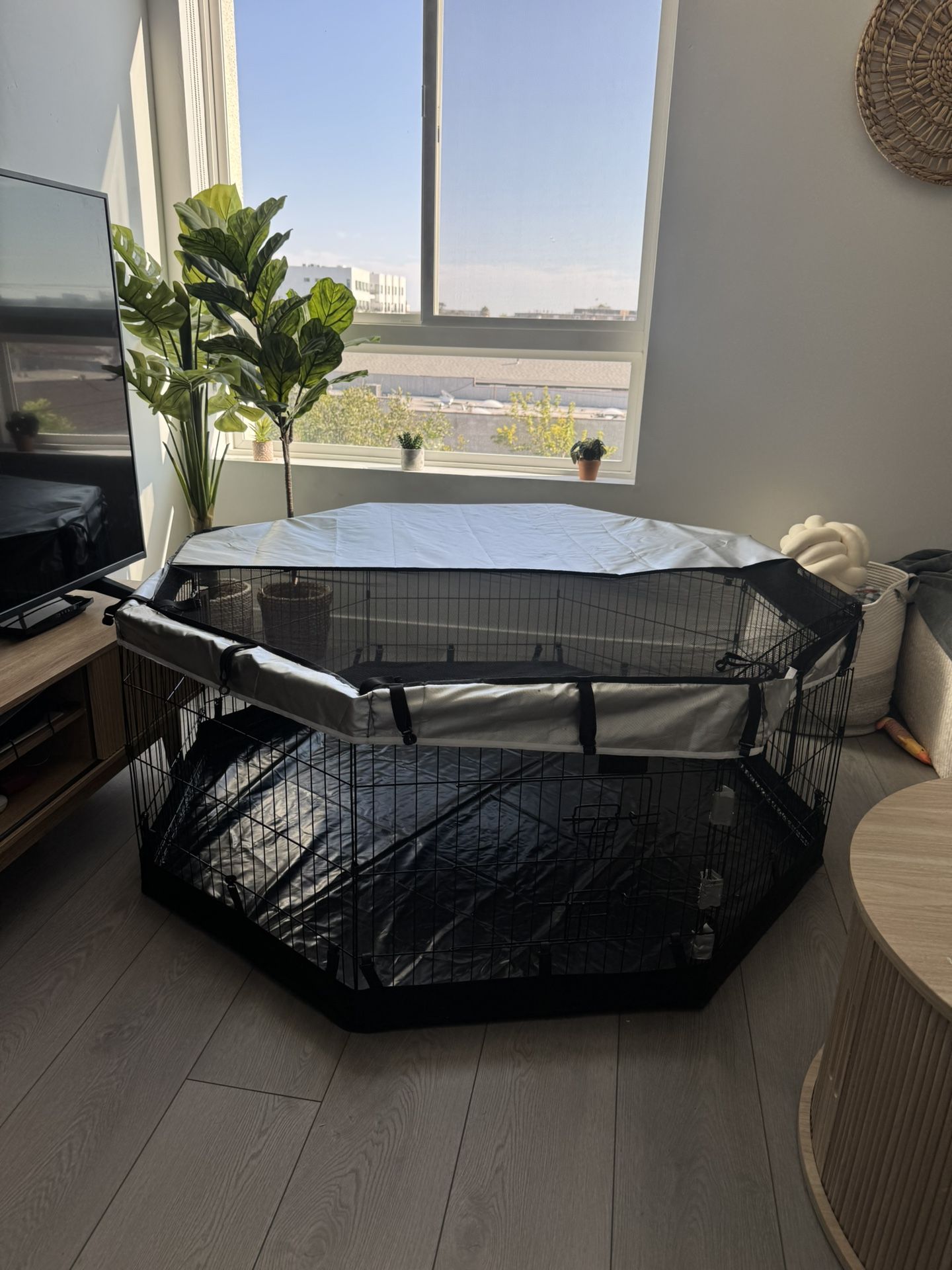 Dog Crate