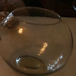 Fish Bowl