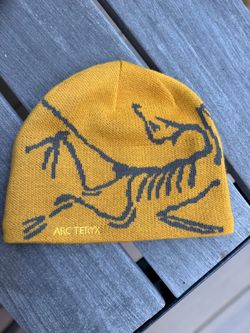 Arc’teryx Bird Head Toque Beanie