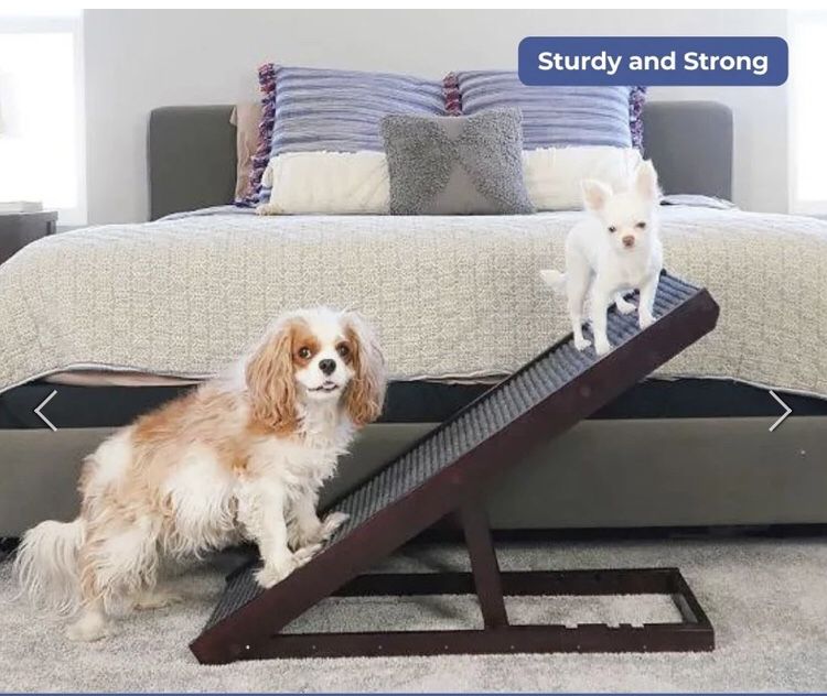 Alpha Paw Dog Ramp