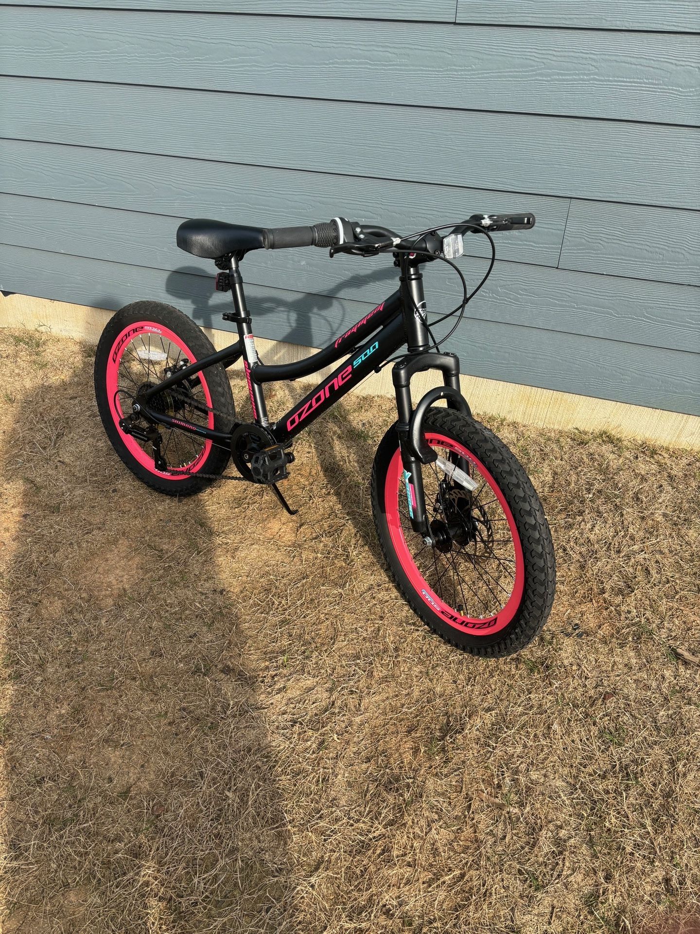 Girls 20” Bike