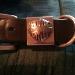 HARLEY Davidson Belt
