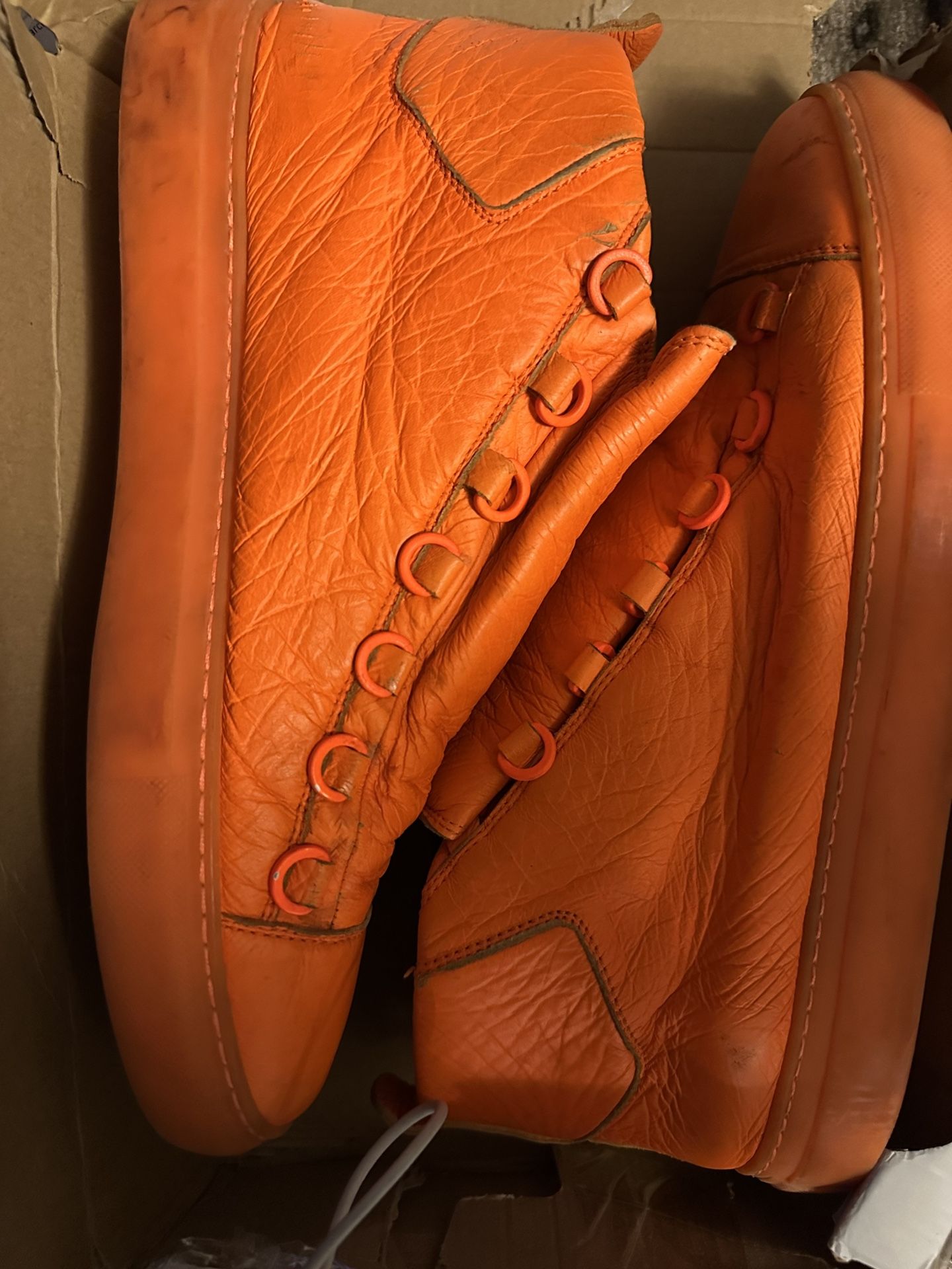 Arena Trainer baliniaga