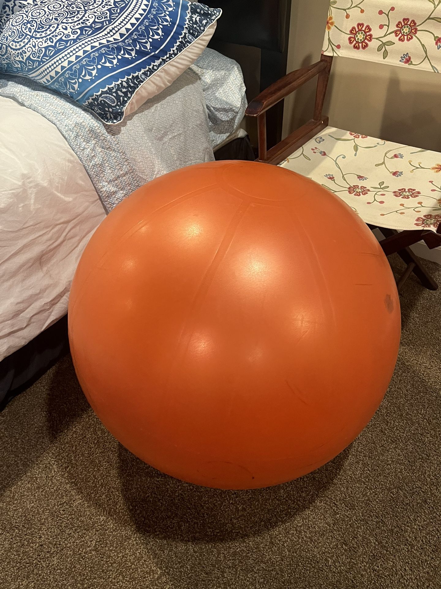 Giant Exercise Ball 