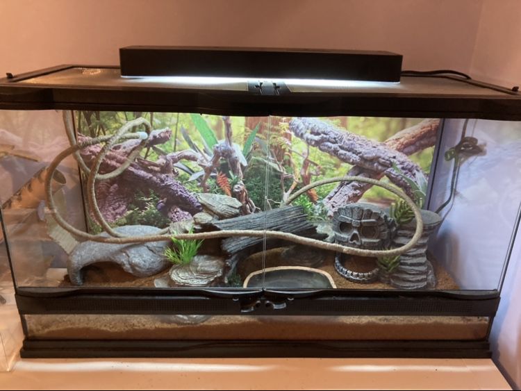 25 Gallon Tank With Opening Doors (Comes With Underlay Heater)