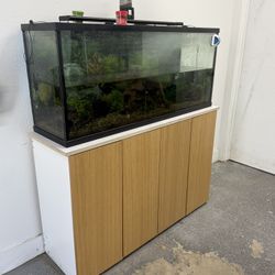65 Gallon Fish Tank And Stand