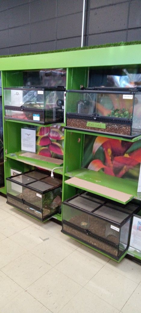 Reptile Tank With Front Opening Doors