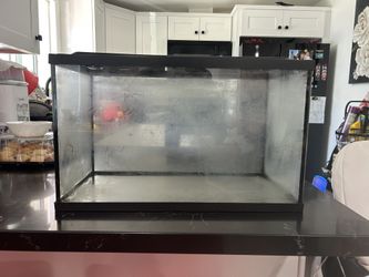 15 Gallon Fish Tank With Lid heater and filter pump Really Nice Compact
