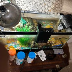 20 Gallon Tank With Everything In It 