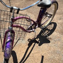 Bike Beach Crusher 