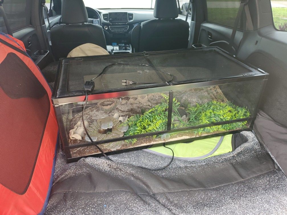 Reptile Tank / Cage