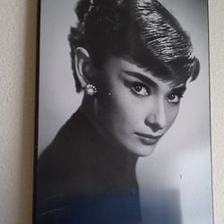 Large Audrey Hepburn Photo 