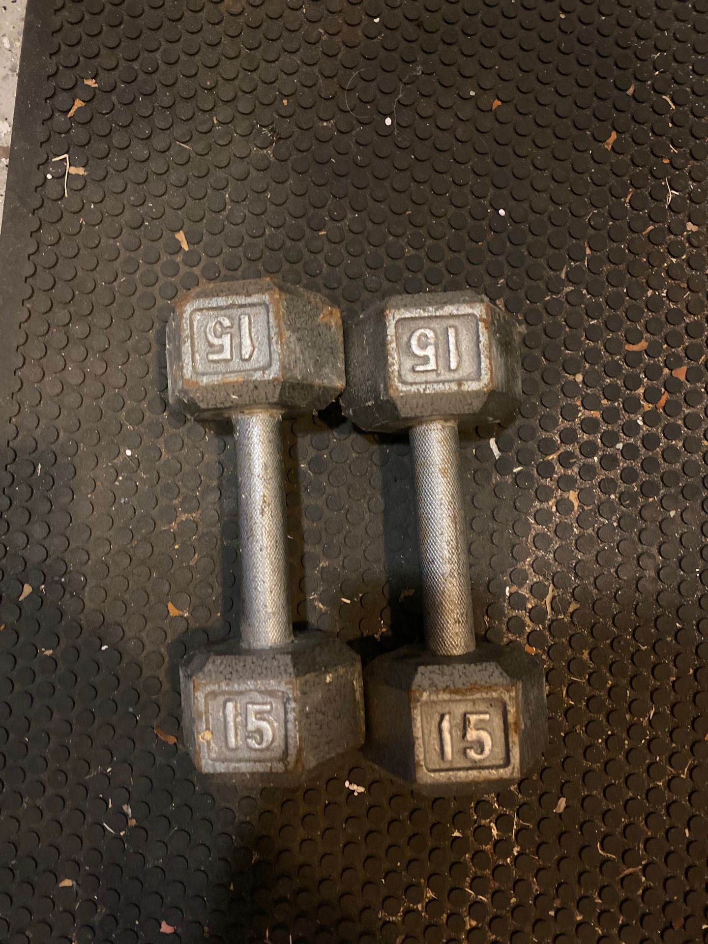 15 pound dumbbells