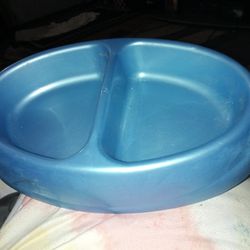 Cat Bowl 