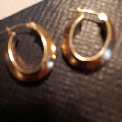 14 K Gold Earrings 