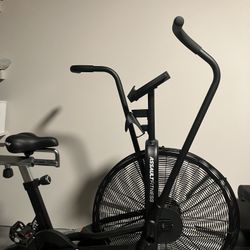 Assault Fitness Bike