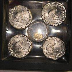 1/2 g of prospector gold round and four individual 1/4 ounce prospect silver oun