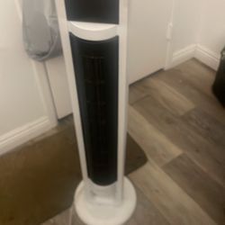 Fan 