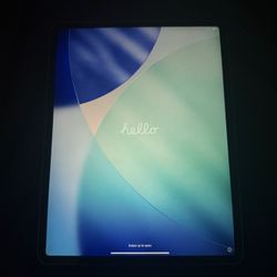 iPad Pro 12.9 256GB Space Gray 4th Generation