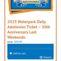 4 Water Park Tickets