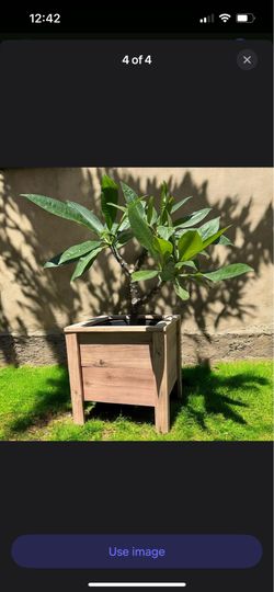 Wooden planter