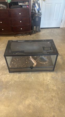 40 gallon tank