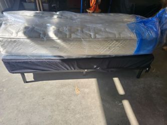 Twin Mattress + Box Spring + Frame