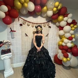 Feathered Skirt And Corset 