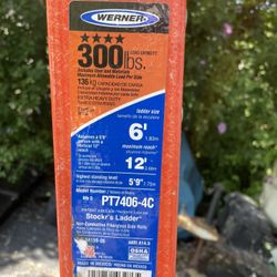 Werner Fiberglass Stockr Ladder