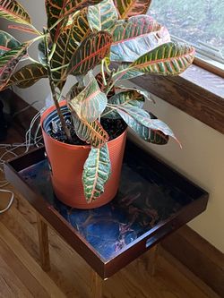 Beautiful Wooden Resin Tray