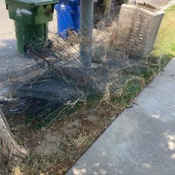 Free Scrap Metal And A Dog House