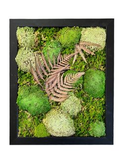 Preserved Moss Wall Decor with Artificial Leaves - 16x13
