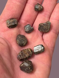 Garnets Almandine. All 8 Shown. Gemstones Crystals Rocks Minerals