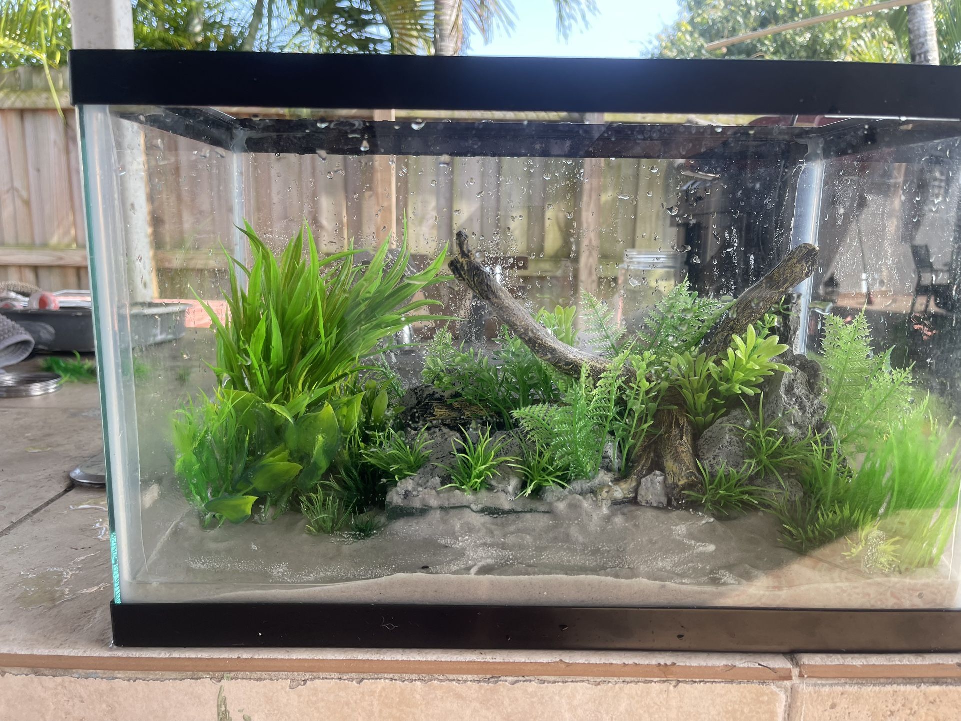 Fish Tank