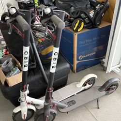 2 Bird Scooters
