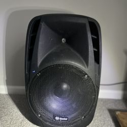 15” Loudspeaker 