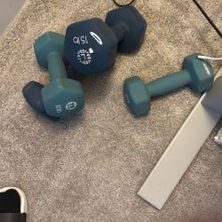 15 Lb And 10 Lb Rubber Coated Dumbell Weights For Sale 