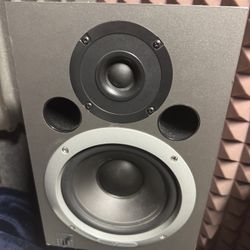 Project studio biamplified direct field monitors