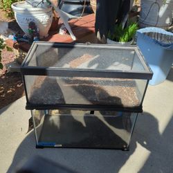 6 Gallon Terrarium