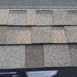 30anos TEJA/Shingles