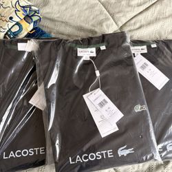 Lacoste XL Bundle 