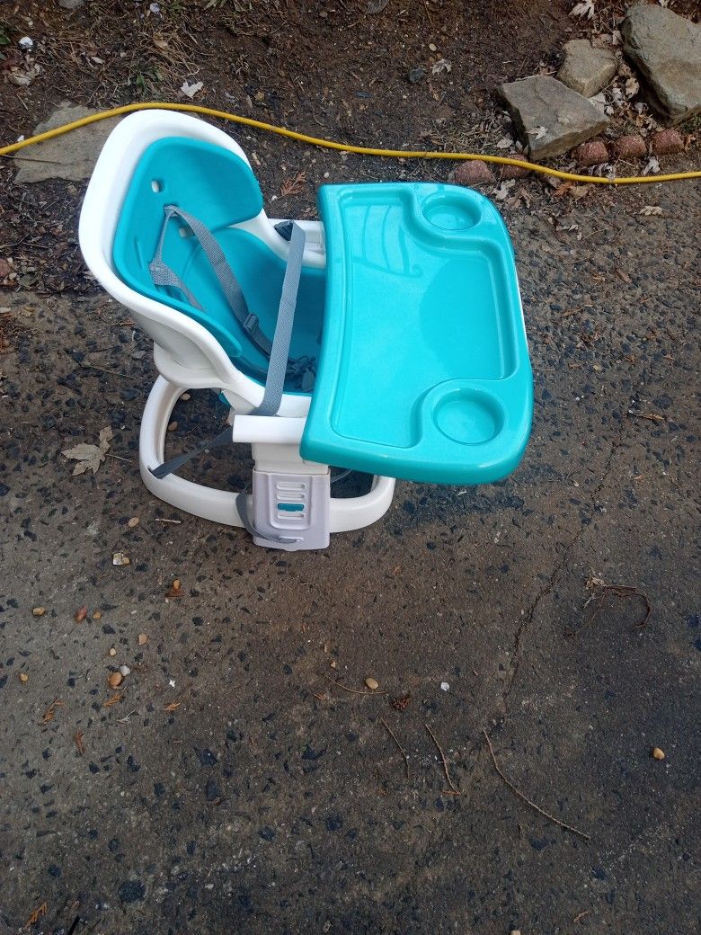 Booster Seat