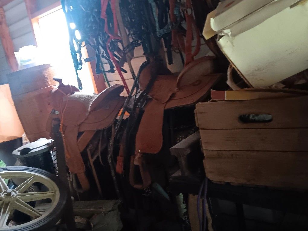 Horse Saddles An Britals