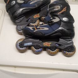 Roller Blades 