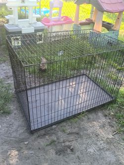 Doghouse
