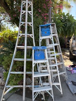 Ladder