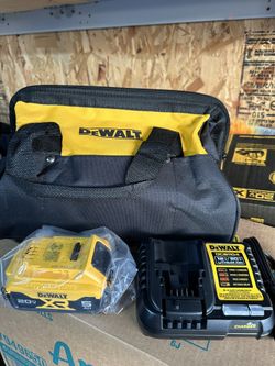 New Dewalt Charger, And Battery With Case