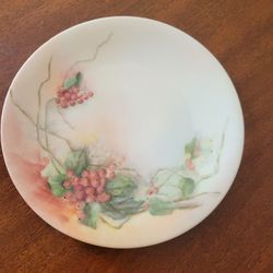 Vintage Limoges France Painted Side Plate